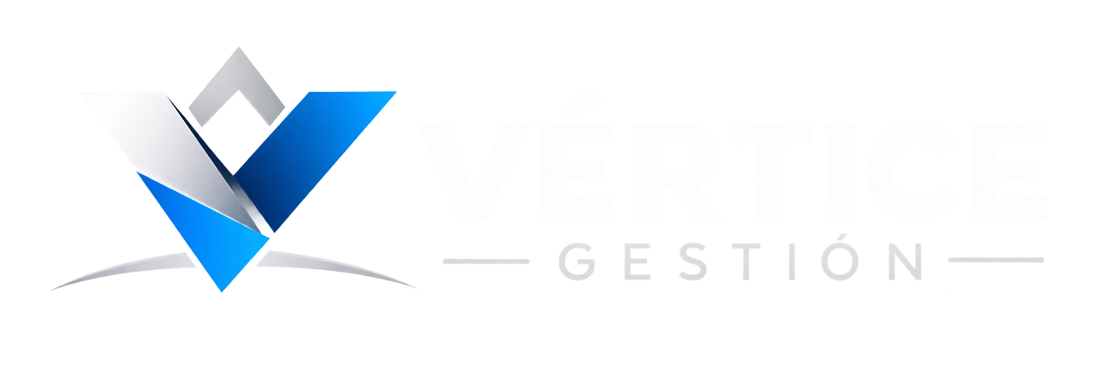 Vértice Gestión